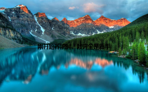 刚开始养护时, 我完全是新手