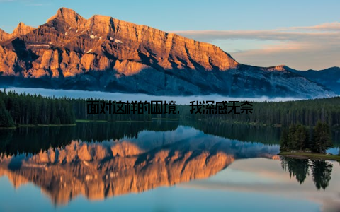 面对这样的困境, 我深感无奈