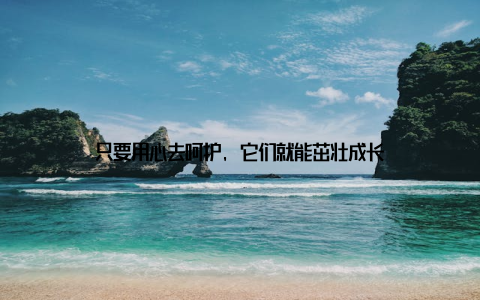 只要用心去呵护, 它们就能茁壮成长