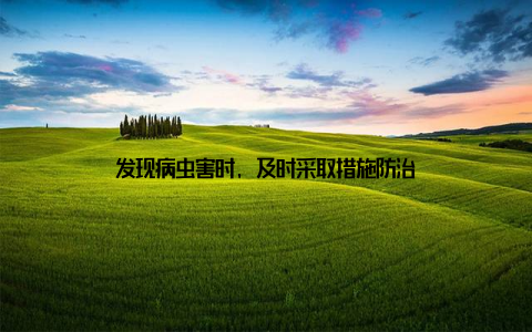 发现病虫害时, 及时采取措施防治