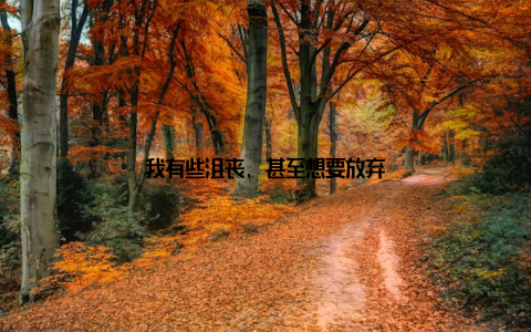 我有些沮丧, 甚至想要放弃