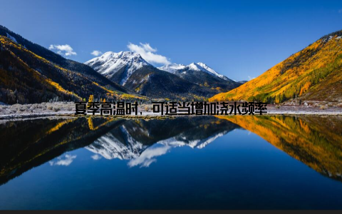 夏季高温时, 可适当增加浇水频率