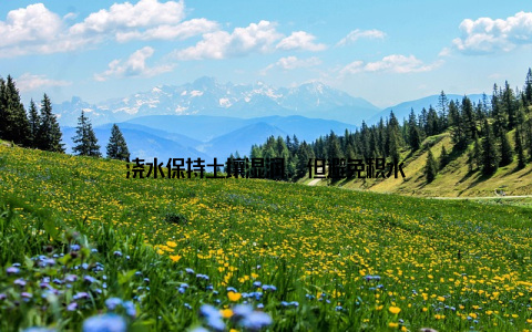 浇水保持土壤湿润, 但避免积水