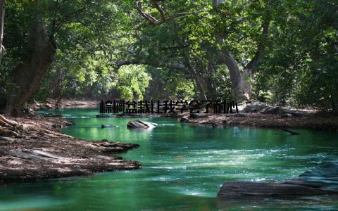 棕榈盆栽让我学会了耐心