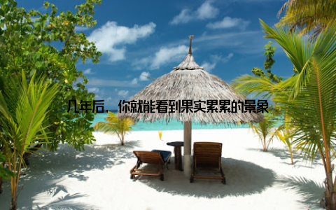 几年后, 你就能看到果实累累的景象
