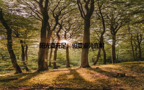 阳光要充足, 但要避免直射