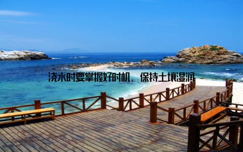 浇水时要掌握好时机, 保持土壤湿润