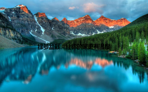 绿萝盆栽, 让你的家更有温度