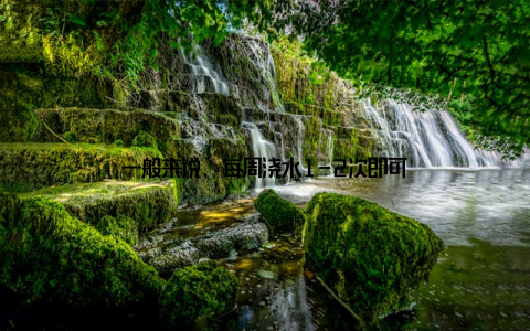 一般来说, 每周浇水1-2次即可