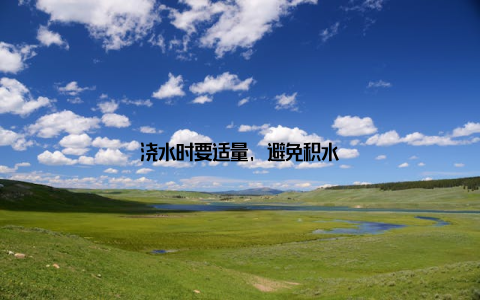 浇水时要适量, 避免积水