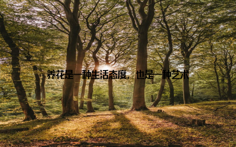 养花是一种生活态度, 也是一种艺术