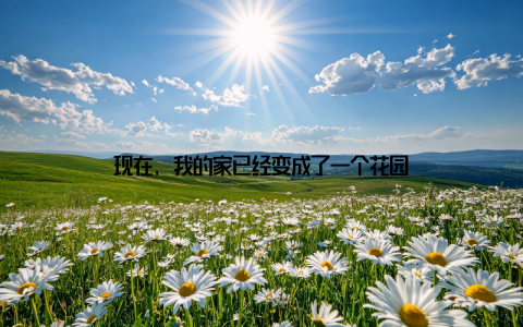现在, 我的家已经变成了一个花园