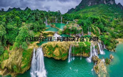 方盆栽的出现, 完美解决了这个问题