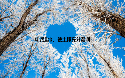 4浇透水, 使土壤充分湿润