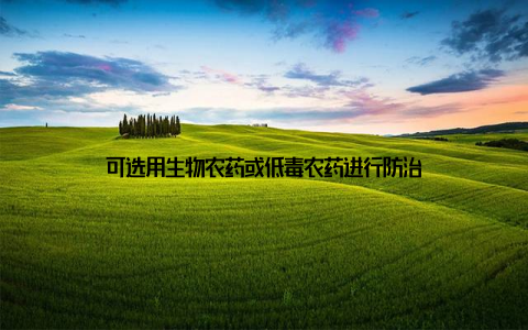 可选用生物农药或低毒农药进行防治