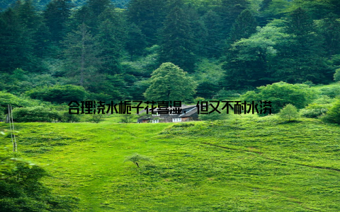 合理浇水栀子花喜湿, 但又不耐水涝