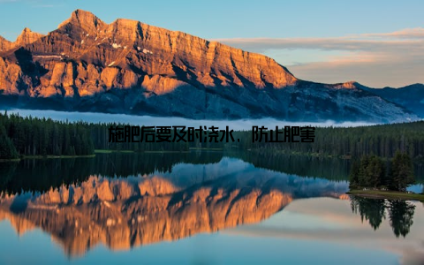 施肥后要及时浇水, 防止肥害